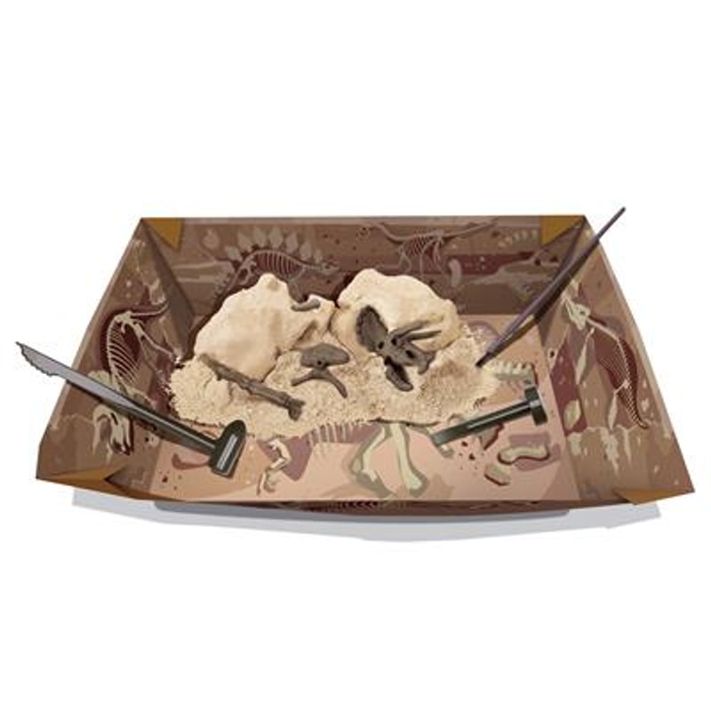 Triceratops-opgraafset met deels blootgelegde botten in een gipsblok en graafwerktuigen op een kartonnen ondergrond.
