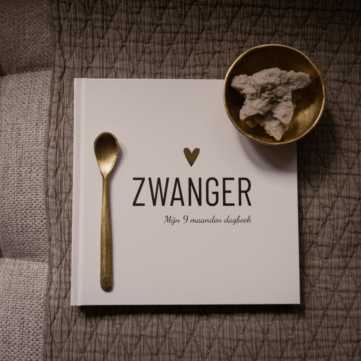 Invulboek • Zwangerschap