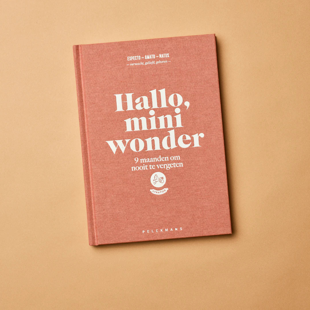 invulboek hallo mini wonder zwanger zwangerschap stratier dieper coppens 9 maanden boek