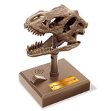 Bruine T-rex-schedel met open bek op een vierkante voet met knop en luidspreker.